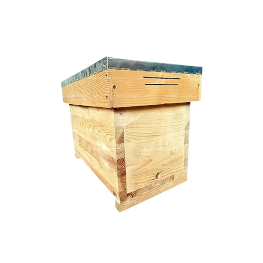 Нуклеус кошер 6 рамков