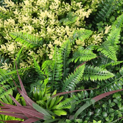 Декоративен Панел 1м² kw2735  – Изкуствена Зеленина с Папрат и Фаларис, UV Защита